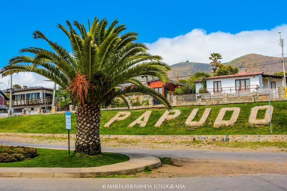 Haydee Lomas De Papudo IV Apartment Екстериор снимка